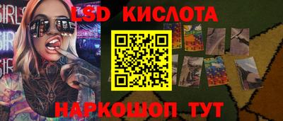 дмт Шелехов