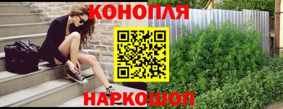 дмт Шелехов