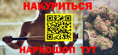 дмт Шелехов