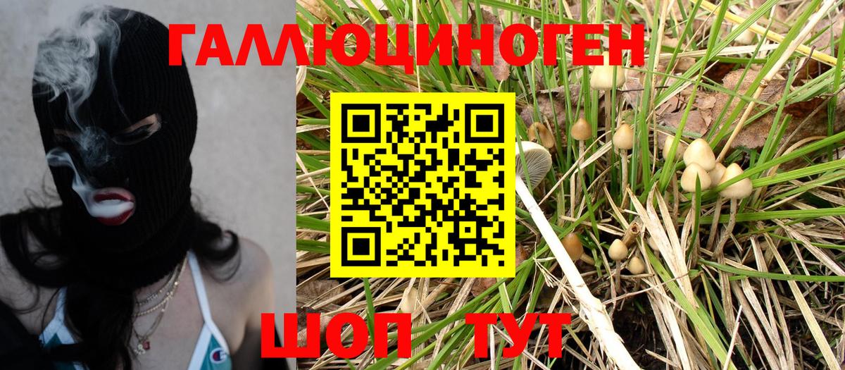 Псилоцибиновые грибы MAGIC MUSHROOMS Сердобск