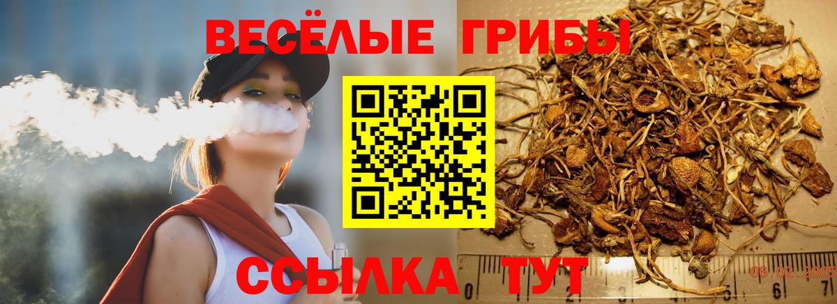 Псилоцибиновые грибы Magic Shrooms  Вход с VPN  Сердобск 